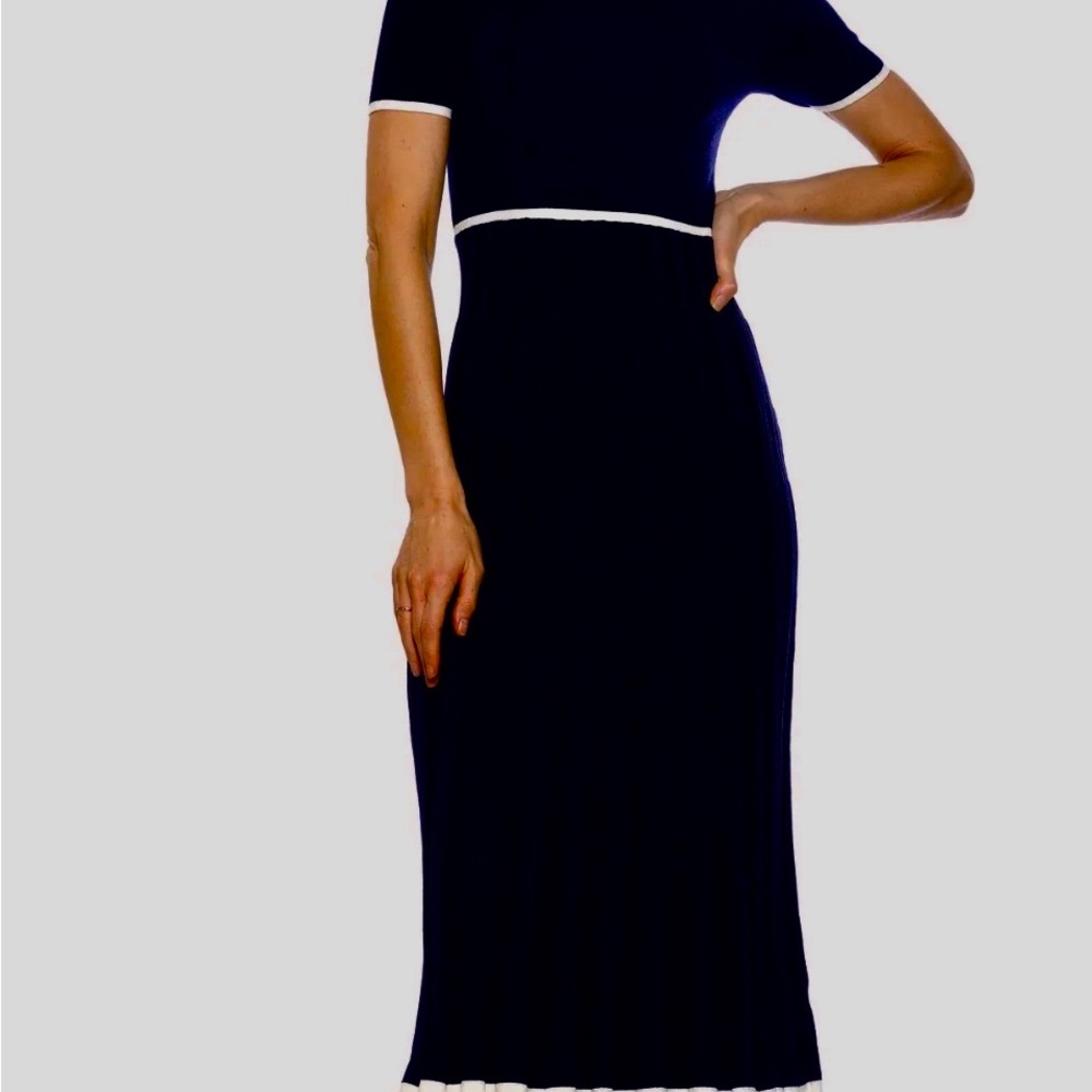 🌺🌺🌺ALEXIA ADMOR MIDI DRESS SIZE L - Picture 2 of 8
